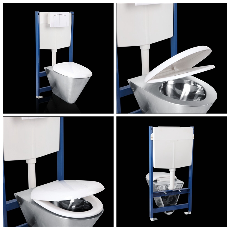 wall hung toilet.jpg